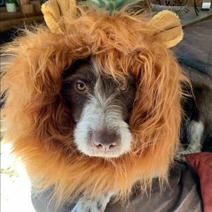 Meet your Posher, Marion